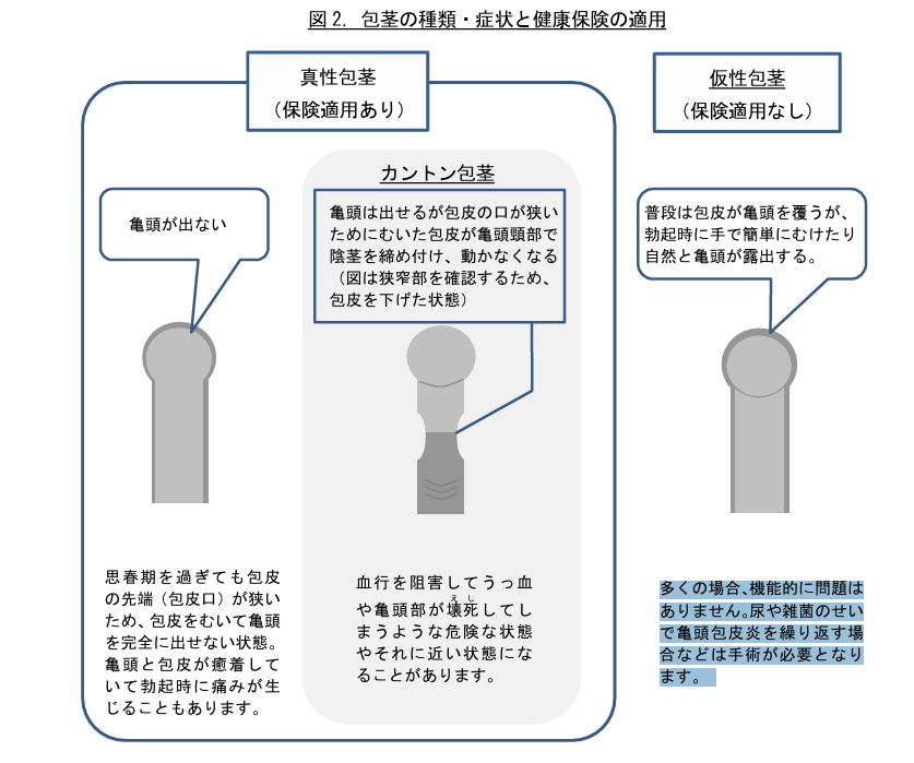 保険診療　包茎